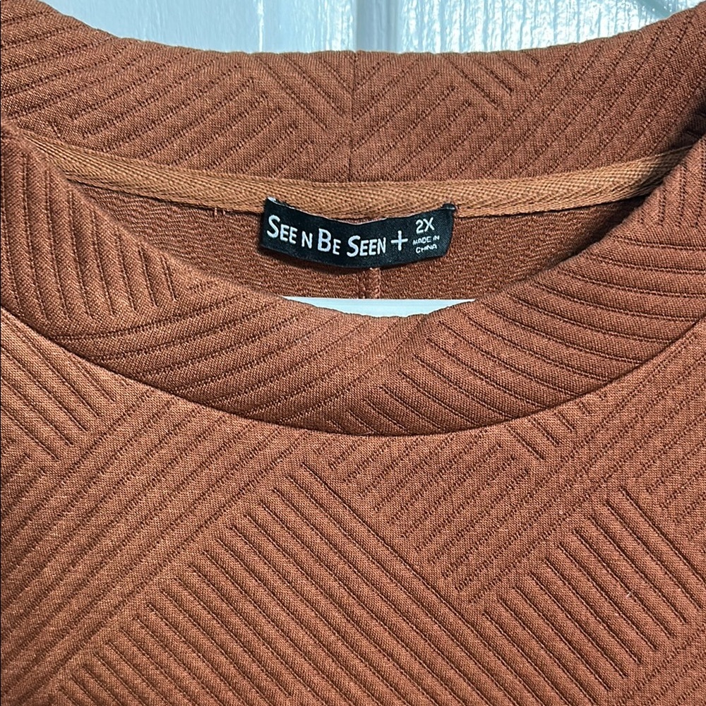 See and Be Seen Rust Top and Pants Set (worn once)